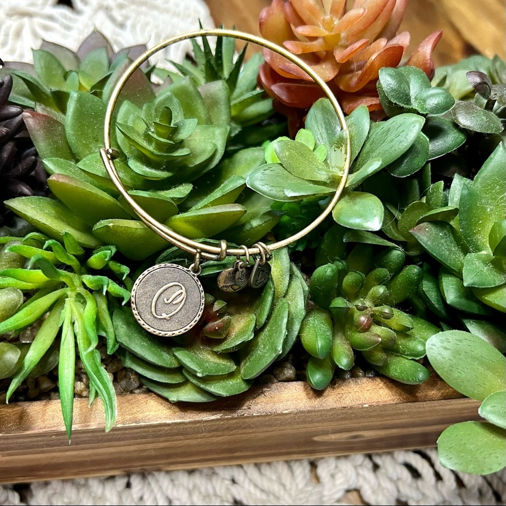Alex and Ani | Retired Initial “Q” Bracelet #342 - Picture 1 of 5